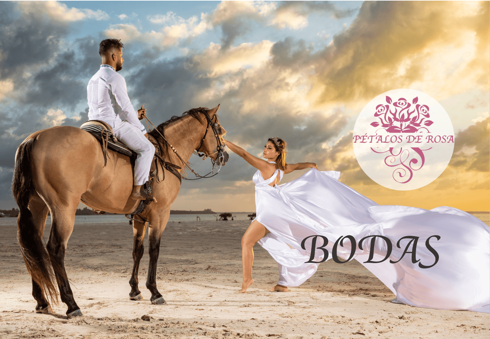 Pétalos de Rosa logo